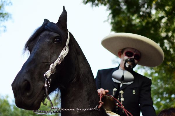 foto:Valeria Fernanda Corona Soto - lo hecho en México
