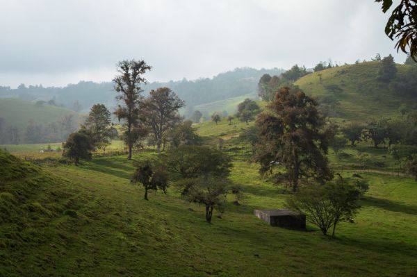 foto:Derick Javier Méndez  Rebolledo - lo hecho en México