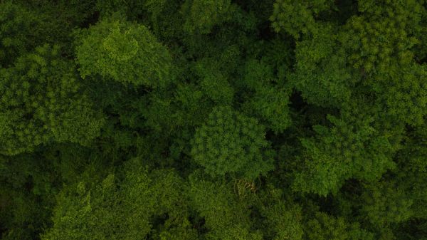 foto:Nohel Yezkel Quintero  Arzate - lo hecho en México