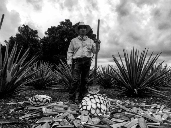 foto:Rocío  Alvarado Teran - lo hecho en México