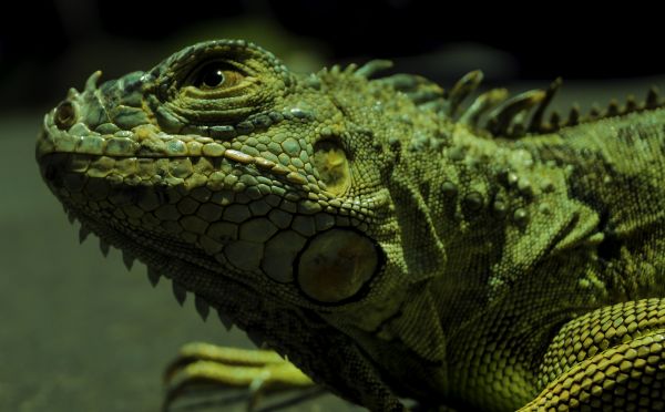 foto:ARACELI DEL PILAR DÍAZ LECHUGA - lo hecho en México