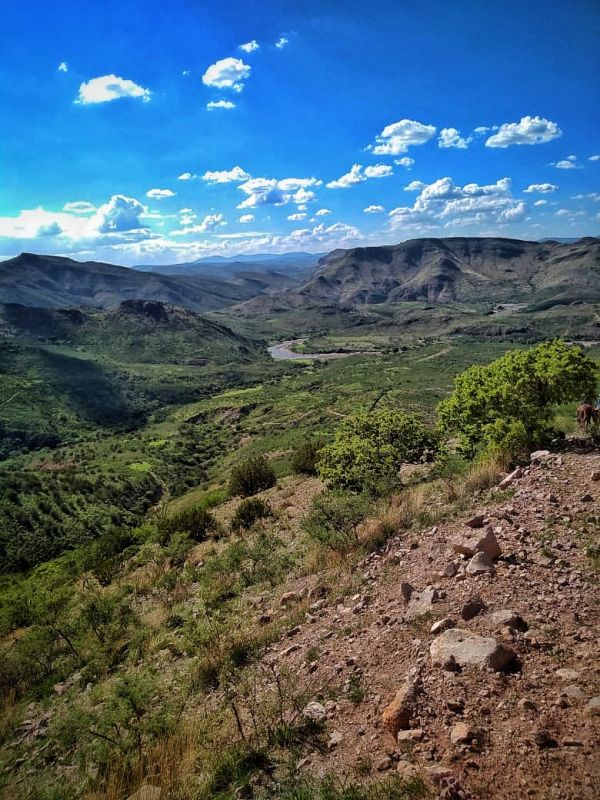 foto:Aldo Lozano Echeveste - lo hecho en México
