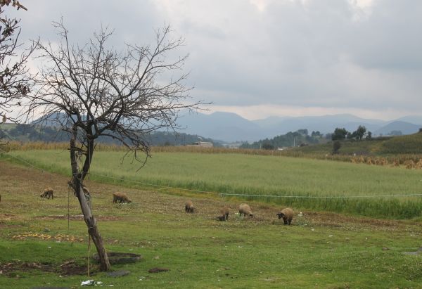 foto:Samantha Mira Ramirez - lo hecho en México
