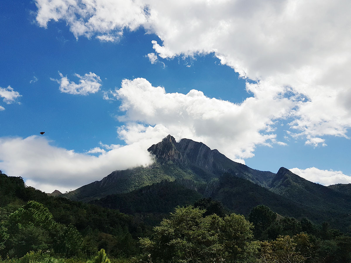 foto:Karla Diaz Flores - lo hecho en México