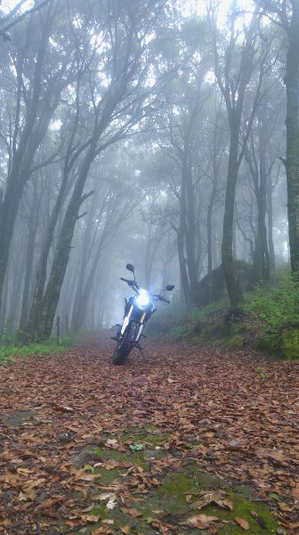 foto:Vanessa Valdez Mendoza - lo hecho en México