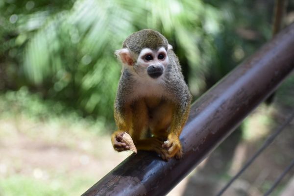 foto:David alejandro Cazares Camarena - lo hecho en México