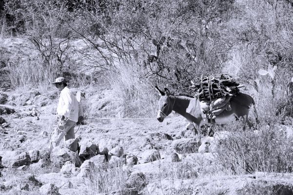 foto:Miguel Alfonso Nava Pérez - lo hecho en México