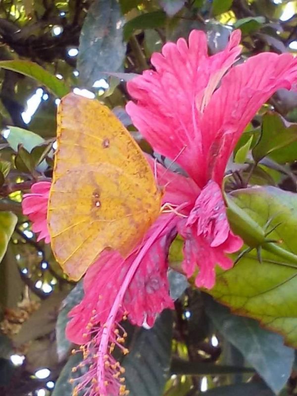 foto:Élida Luisa Montero Cantú - lo hecho en México