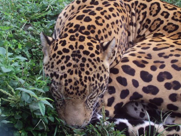 foto:Alicia Elizabeth Acevedo Martínez - lo hecho en México