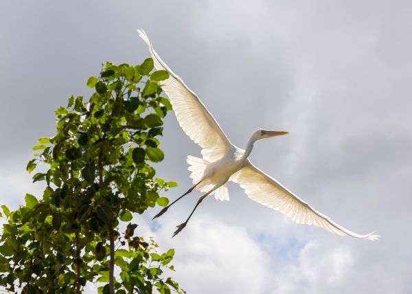 foto:Daniel Isaac Garduño Valladolid - lo hecho en México