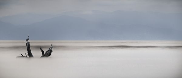 foto:Alberto Guzmán Sánchez - lo hecho en México