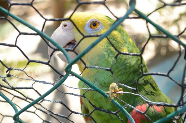 foto:Ricardo Zavalla García - lo hecho en México