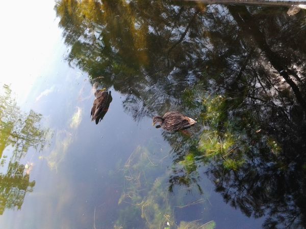 foto:Astrid  Anzaldo Sotelo - lo hecho en México