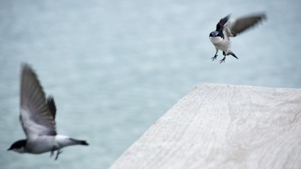 foto:edson avila castañón - lo hecho en México