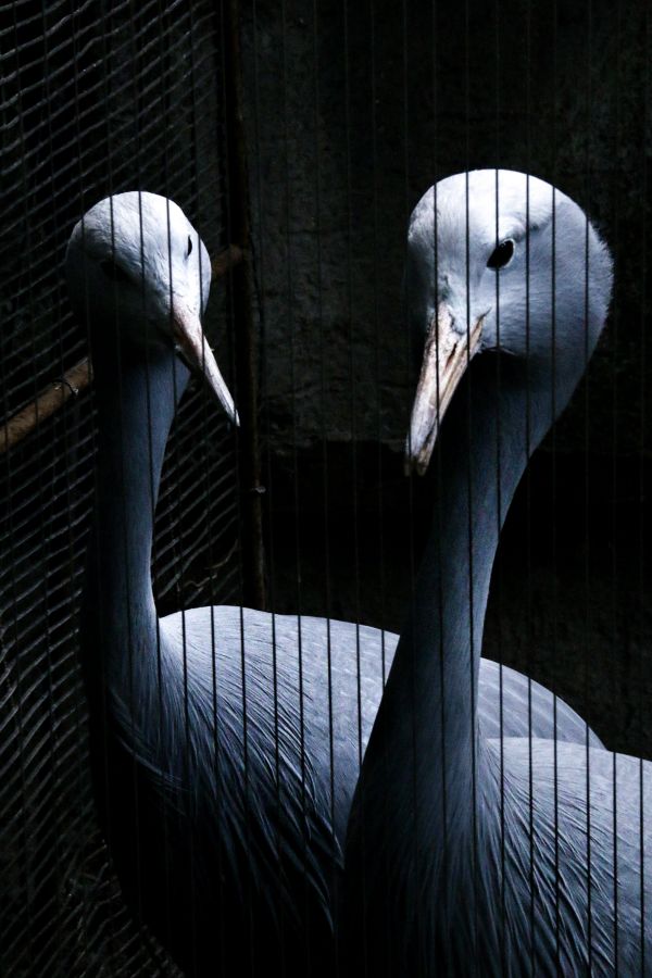 foto:María José  Estrada León - lo hecho en México