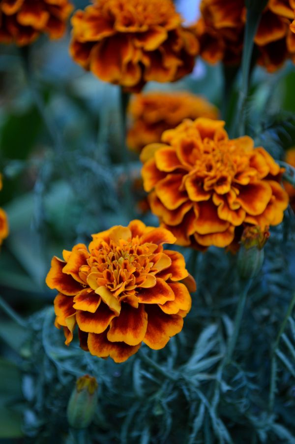 foto:Itzel Erandi  Gómez Castellanos - lo hecho en México