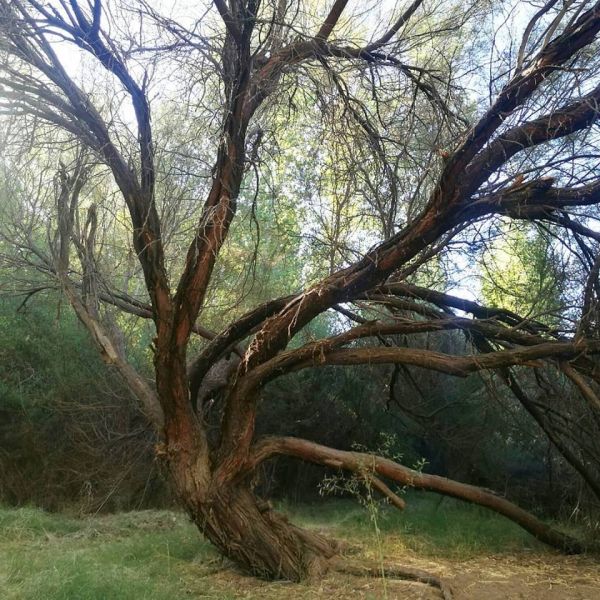 foto:Ana Maria Duran Maldonado - lo hecho en México