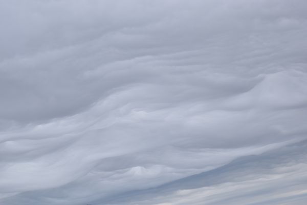 foto:salvador  ramirez equihua - lo hecho en México