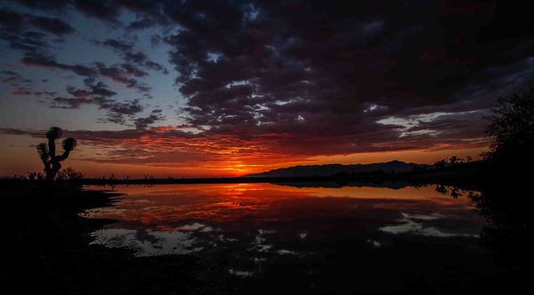 foto:CESAR RAFAEL  RODRIGUEZ GARCIA  - lo hecho en México