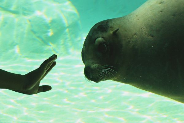 foto:María José  Estrada León - lo hecho en México