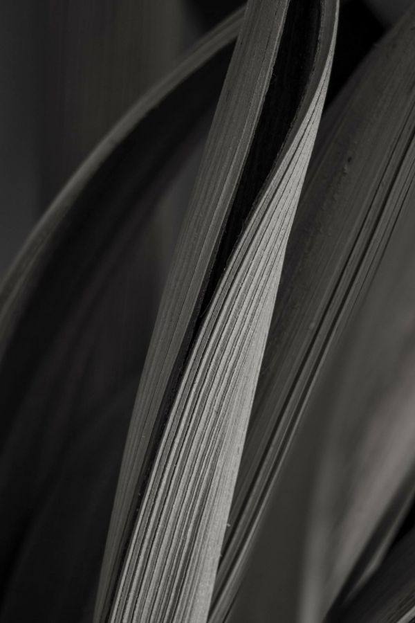 foto:Cesar  Acosta Arambula - lo hecho en México