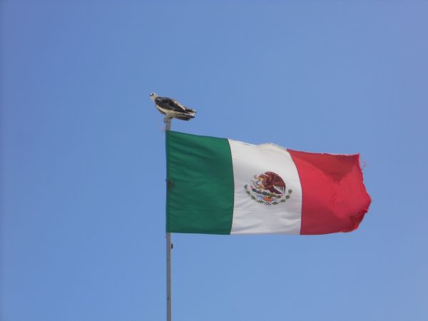 foto:Ezequiel Fernández  Chavira - lo hecho en México