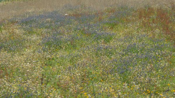 foto:YADIRA ROQUE MENDOZA - lo hecho en México