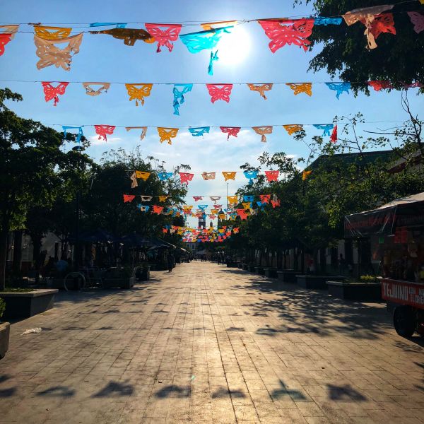 foto:María del Carmen Mora Peña - lo hecho en México
