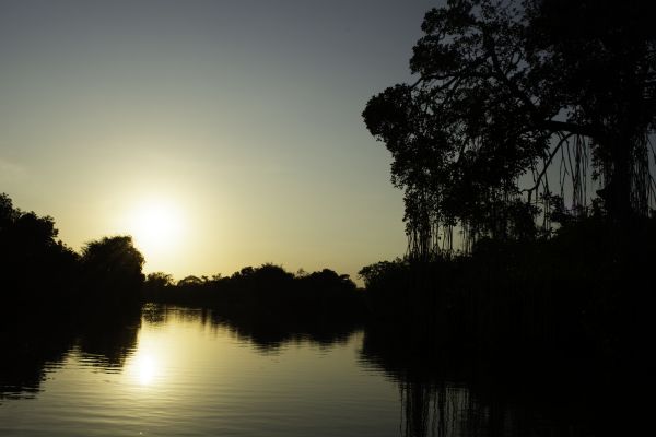 foto:Héctor Fernando  Martínez  Maldonado - lo hecho en México