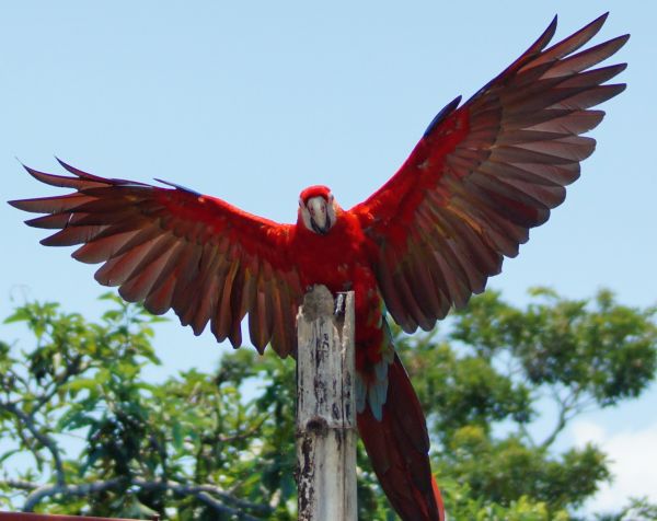 foto:Daniel Alberto Morales Juárez - lo hecho en México