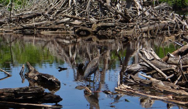 foto:Enmanuel Velazquez Aquino - lo hecho en México