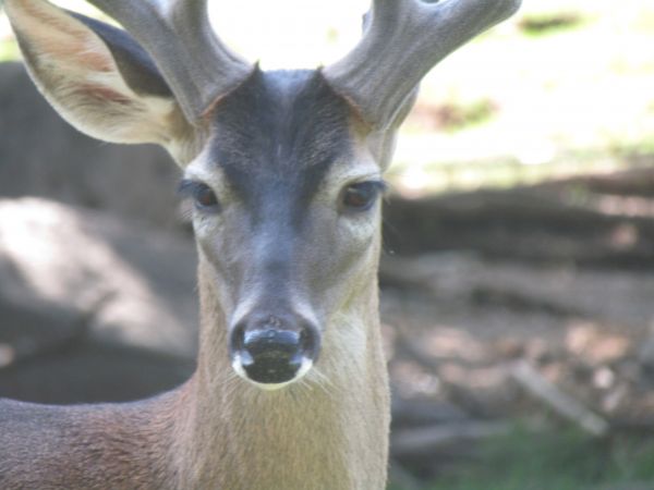 foto:SILVIA CRISTAL BARRAGAN PARTIDA - lo hecho en México