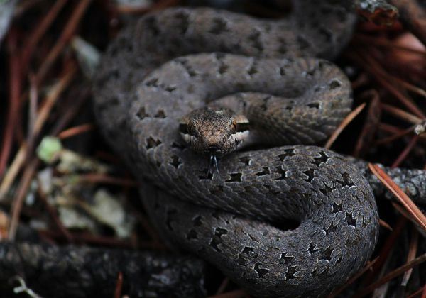 foto:Sandra Cecilia Hernández Bocardo - lo hecho en México