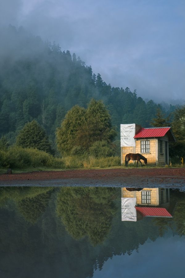 foto:Noé Martínez Toledo - lo hecho en México