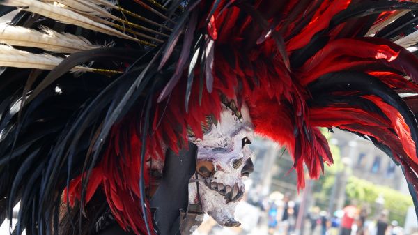 foto:Carlos Castro Flores Ramírez - lo hecho en México