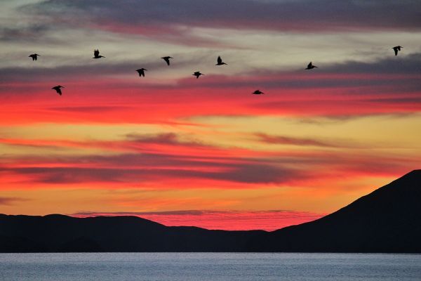 foto:Salvador Sánchez Díaz - lo hecho en México