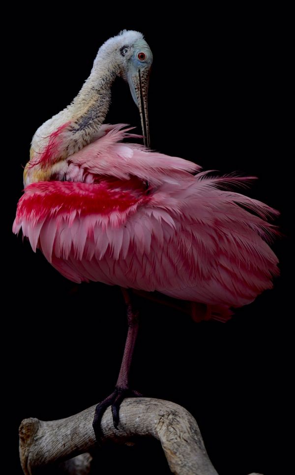 foto:Luis Raul Espinosa Gordillo - lo hecho en México