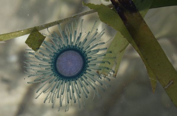 foto:Karla Madeleine Fernández Teco - lo hecho en México