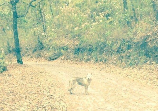 foto:JUDITH ESQUIVEL GONZALEZ - lo hecho en México