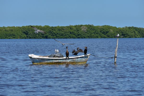 foto:Rafael Hidalgo Ramírez - lo hecho en México