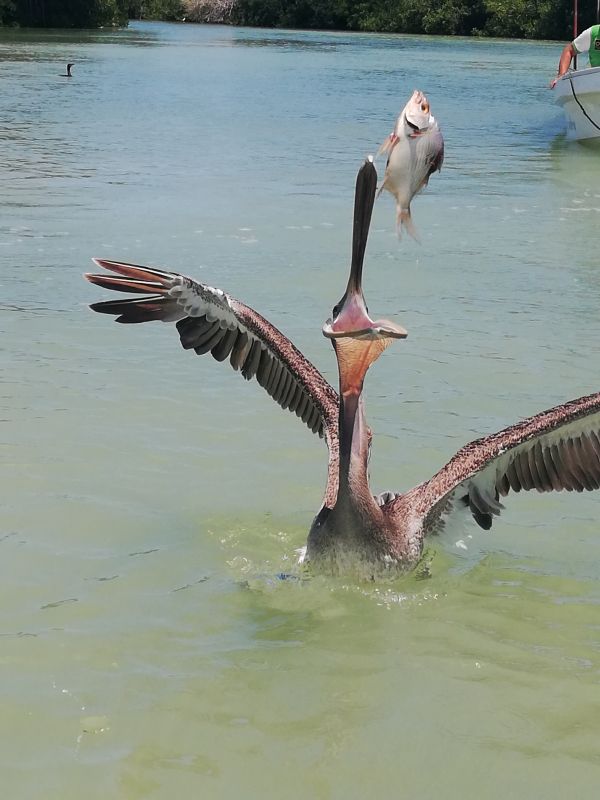 foto:Monica Ezquerro Topete - lo hecho en México