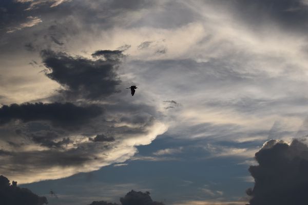 foto:Sofía Fuentes González - lo hecho en México