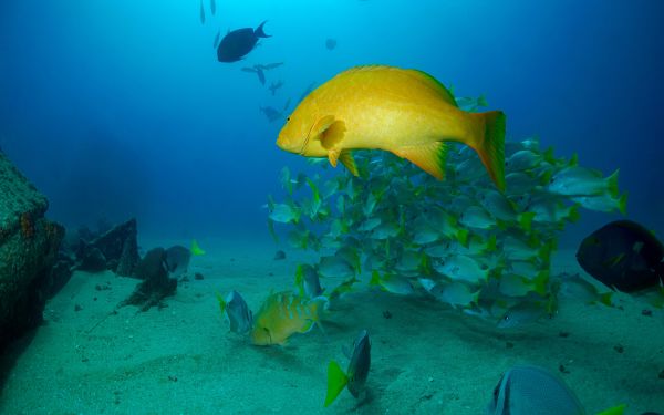 foto:Omar  Liévanos Ruíz - lo hecho en México