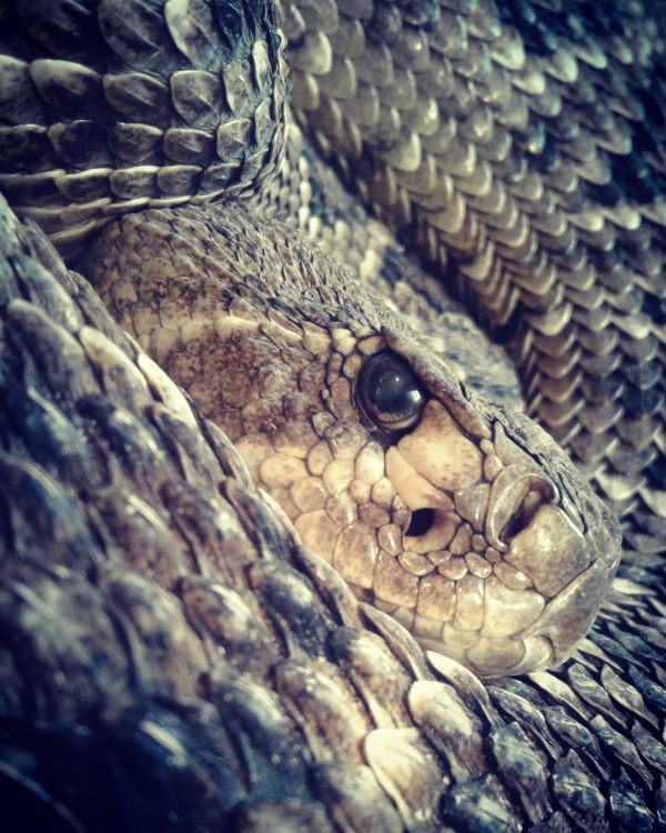 foto:Ruth Anakaren Rosas Reyna - lo hecho en México