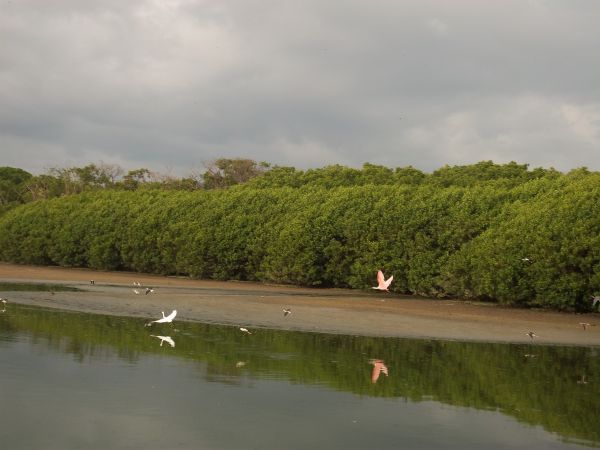 foto:Manuela Karina  Hernandez Figueroa - lo hecho en México