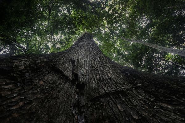 foto:Pablo  Garcia  Figueroa - lo hecho en México