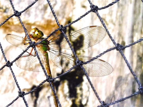 foto:Jesús  Ramos  Esparza - lo hecho en México