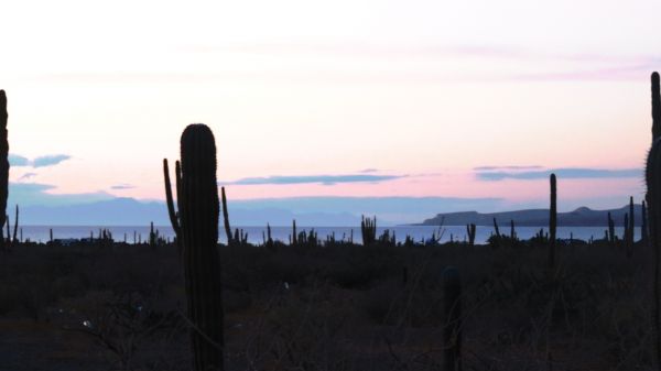 foto:Verónica Martínez Orozco - lo hecho en México