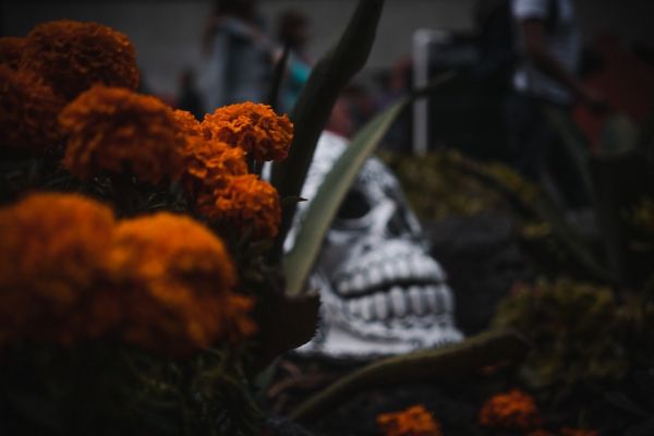 foto:Alan Ricardo  Campos  Avalos - lo hecho en México