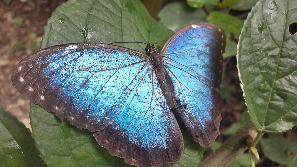 foto:Axel Solano Aguileta - lo hecho en México